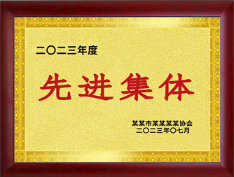 先进集体